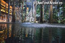 [P100] Ploaie artificiala in Padurea Inundata, muzeul Cosmocaixa » foto by Muffin2009*
 - 
<span class="allrVoted glyphicon glyphicon-heart hidden" id="av352037"></span>
<a class="m-l-10 hidden" id="sv352037" onclick="voting_Foto_DelVot(,352037,12198)" role="button">șterge vot <span class="glyphicon glyphicon-remove"></span></a>
<a id="v9352037" class=" c-red"  onclick="voting_Foto_SetVot(352037)" role="button"><span class="glyphicon glyphicon-heart-empty"></span> <b>LIKE</b> = Votează poza</a> <img class="hidden"  id="f352037W9" src="/imagini/loader.gif" border="0" /><span class="AjErrMes hidden" id="e352037ErM"></span>