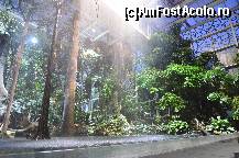 [P101] Ploaie artificiala in Padurea Inundata, muzeul Cosmocaixa » foto by Muffin2009*
 - 
<span class="allrVoted glyphicon glyphicon-heart hidden" id="av352038"></span>
<a class="m-l-10 hidden" id="sv352038" onclick="voting_Foto_DelVot(,352038,12198)" role="button">șterge vot <span class="glyphicon glyphicon-remove"></span></a>
<a id="v9352038" class=" c-red"  onclick="voting_Foto_SetVot(352038)" role="button"><span class="glyphicon glyphicon-heart-empty"></span> <b>LIKE</b> = Votează poza</a> <img class="hidden"  id="f352038W9" src="/imagini/loader.gif" border="0" /><span class="AjErrMes hidden" id="e352038ErM"></span>