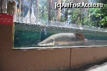 [P102] Padurea Inundata, muzeul Cosmocaixa » foto by Muffin2009*
 - 
<span class="allrVoted glyphicon glyphicon-heart hidden" id="av352039"></span>
<a class="m-l-10 hidden" id="sv352039" onclick="voting_Foto_DelVot(,352039,12198)" role="button">șterge vot <span class="glyphicon glyphicon-remove"></span></a>
<a id="v9352039" class=" c-red"  onclick="voting_Foto_SetVot(352039)" role="button"><span class="glyphicon glyphicon-heart-empty"></span> <b>LIKE</b> = Votează poza</a> <img class="hidden"  id="f352039W9" src="/imagini/loader.gif" border="0" /><span class="AjErrMes hidden" id="e352039ErM"></span>