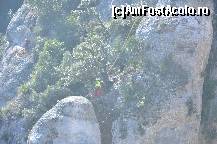 [P11] Un pic de alpinism » foto by Muffin2009*
 - 
<span class="allrVoted glyphicon glyphicon-heart hidden" id="av351919"></span>
<a class="m-l-10 hidden" id="sv351919" onclick="voting_Foto_DelVot(,351919,12198)" role="button">șterge vot <span class="glyphicon glyphicon-remove"></span></a>
<a id="v9351919" class=" c-red"  onclick="voting_Foto_SetVot(351919)" role="button"><span class="glyphicon glyphicon-heart-empty"></span> <b>LIKE</b> = Votează poza</a> <img class="hidden"  id="f351919W9" src="/imagini/loader.gif" border="0" /><span class="AjErrMes hidden" id="e351919ErM"></span>