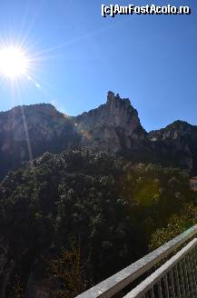 [P16] Frumos nu?  » foto by Muffin2009*
 - 
<span class="allrVoted glyphicon glyphicon-heart hidden" id="av351924"></span>
<a class="m-l-10 hidden" id="sv351924" onclick="voting_Foto_DelVot(,351924,12198)" role="button">șterge vot <span class="glyphicon glyphicon-remove"></span></a>
<a id="v9351924" class=" c-red"  onclick="voting_Foto_SetVot(351924)" role="button"><span class="glyphicon glyphicon-heart-empty"></span> <b>LIKE</b> = Votează poza</a> <img class="hidden"  id="f351924W9" src="/imagini/loader.gif" border="0" /><span class="AjErrMes hidden" id="e351924ErM"></span>