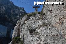 [P06] Aproape am ajuns » foto by Muffin2009*
 - 
<span class="allrVoted glyphicon glyphicon-heart hidden" id="av351914"></span>
<a class="m-l-10 hidden" id="sv351914" onclick="voting_Foto_DelVot(,351914,12198)" role="button">șterge vot <span class="glyphicon glyphicon-remove"></span></a>
<a id="v9351914" class=" c-red"  onclick="voting_Foto_SetVot(351914)" role="button"><span class="glyphicon glyphicon-heart-empty"></span> <b>LIKE</b> = Votează poza</a> <img class="hidden"  id="f351914W9" src="/imagini/loader.gif" border="0" /><span class="AjErrMes hidden" id="e351914ErM"></span>