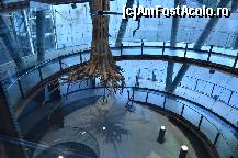 [P66] Intrarea din muzeul CosmoCaixa » foto by Muffin2009*
 - 
<span class="allrVoted glyphicon glyphicon-heart hidden" id="av352002"></span>
<a class="m-l-10 hidden" id="sv352002" onclick="voting_Foto_DelVot(,352002,12198)" role="button">șterge vot <span class="glyphicon glyphicon-remove"></span></a>
<a id="v9352002" class=" c-red"  onclick="voting_Foto_SetVot(352002)" role="button"><span class="glyphicon glyphicon-heart-empty"></span> <b>LIKE</b> = Votează poza</a> <img class="hidden"  id="f352002W9" src="/imagini/loader.gif" border="0" /><span class="AjErrMes hidden" id="e352002ErM"></span>