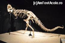 [P69] Expozitia de dinozauri, muzeul Cosmocaixa » foto by Muffin2009*
 - 
<span class="allrVoted glyphicon glyphicon-heart hidden" id="av352005"></span>
<a class="m-l-10 hidden" id="sv352005" onclick="voting_Foto_DelVot(,352005,12198)" role="button">șterge vot <span class="glyphicon glyphicon-remove"></span></a>
<a id="v9352005" class=" c-red"  onclick="voting_Foto_SetVot(352005)" role="button"><span class="glyphicon glyphicon-heart-empty"></span> <b>LIKE</b> = Votează poza</a> <img class="hidden"  id="f352005W9" src="/imagini/loader.gif" border="0" /><span class="AjErrMes hidden" id="e352005ErM"></span>