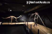 [P72] Expozitia de dinozauri, muzeul Cosmocaixa » foto by Muffin2009*
 - 
<span class="allrVoted glyphicon glyphicon-heart hidden" id="av352009"></span>
<a class="m-l-10 hidden" id="sv352009" onclick="voting_Foto_DelVot(,352009,12198)" role="button">șterge vot <span class="glyphicon glyphicon-remove"></span></a>
<a id="v9352009" class=" c-red"  onclick="voting_Foto_SetVot(352009)" role="button"><span class="glyphicon glyphicon-heart-empty"></span> <b>LIKE</b> = Votează poza</a> <img class="hidden"  id="f352009W9" src="/imagini/loader.gif" border="0" /><span class="AjErrMes hidden" id="e352009ErM"></span>
