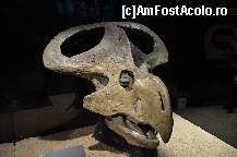 [P74] Expozitia de dinozauri, muzeul Cosmocaixa » foto by Muffin2009*
 - 
<span class="allrVoted glyphicon glyphicon-heart hidden" id="av352011"></span>
<a class="m-l-10 hidden" id="sv352011" onclick="voting_Foto_DelVot(,352011,12198)" role="button">șterge vot <span class="glyphicon glyphicon-remove"></span></a>
<a id="v9352011" class=" c-red"  onclick="voting_Foto_SetVot(352011)" role="button"><span class="glyphicon glyphicon-heart-empty"></span> <b>LIKE</b> = Votează poza</a> <img class="hidden"  id="f352011W9" src="/imagini/loader.gif" border="0" /><span class="AjErrMes hidden" id="e352011ErM"></span>