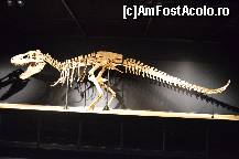 [P76] Expozitia de dinozauri, muzeul Cosmocaixa » foto by Muffin2009*
 - 
<span class="allrVoted glyphicon glyphicon-heart hidden" id="av352013"></span>
<a class="m-l-10 hidden" id="sv352013" onclick="voting_Foto_DelVot(,352013,12198)" role="button">șterge vot <span class="glyphicon glyphicon-remove"></span></a>
<a id="v9352013" class=" c-red"  onclick="voting_Foto_SetVot(352013)" role="button"><span class="glyphicon glyphicon-heart-empty"></span> <b>LIKE</b> = Votează poza</a> <img class="hidden"  id="f352013W9" src="/imagini/loader.gif" border="0" /><span class="AjErrMes hidden" id="e352013ErM"></span>