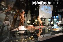 [P78] Evolutia omului, muzeul Cosmocaixa » foto by Muffin2009*
 - 
<span class="allrVoted glyphicon glyphicon-heart hidden" id="av352015"></span>
<a class="m-l-10 hidden" id="sv352015" onclick="voting_Foto_DelVot(,352015,12198)" role="button">șterge vot <span class="glyphicon glyphicon-remove"></span></a>
<a id="v9352015" class=" c-red"  onclick="voting_Foto_SetVot(352015)" role="button"><span class="glyphicon glyphicon-heart-empty"></span> <b>LIKE</b> = Votează poza</a> <img class="hidden"  id="f352015W9" src="/imagini/loader.gif" border="0" /><span class="AjErrMes hidden" id="e352015ErM"></span>