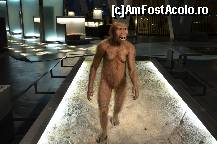 [P79] Evolutia omului, muzeul Cosmocaixa » foto by Muffin2009*
 - 
<span class="allrVoted glyphicon glyphicon-heart hidden" id="av352016"></span>
<a class="m-l-10 hidden" id="sv352016" onclick="voting_Foto_DelVot(,352016,12198)" role="button">șterge vot <span class="glyphicon glyphicon-remove"></span></a>
<a id="v9352016" class=" c-red"  onclick="voting_Foto_SetVot(352016)" role="button"><span class="glyphicon glyphicon-heart-empty"></span> <b>LIKE</b> = Votează poza</a> <img class="hidden"  id="f352016W9" src="/imagini/loader.gif" border="0" /><span class="AjErrMes hidden" id="e352016ErM"></span>