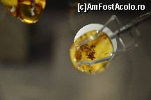 [P81] Sala de la Materia, muzeul CosmoCaixa » foto by Muffin2009*
 - 
<span class="allrVoted glyphicon glyphicon-heart hidden" id="av352018"></span>
<a class="m-l-10 hidden" id="sv352018" onclick="voting_Foto_DelVot(,352018,12198)" role="button">șterge vot <span class="glyphicon glyphicon-remove"></span></a>
<a id="v9352018" class=" c-red"  onclick="voting_Foto_SetVot(352018)" role="button"><span class="glyphicon glyphicon-heart-empty"></span> <b>LIKE</b> = Votează poza</a> <img class="hidden"  id="f352018W9" src="/imagini/loader.gif" border="0" /><span class="AjErrMes hidden" id="e352018ErM"></span>