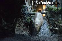 [P91] Padurea Inundata, muzeul Cosmocaixa » foto by Muffin2009*
 - 
<span class="allrVoted glyphicon glyphicon-heart hidden" id="av352028"></span>
<a class="m-l-10 hidden" id="sv352028" onclick="voting_Foto_DelVot(,352028,12198)" role="button">șterge vot <span class="glyphicon glyphicon-remove"></span></a>
<a id="v9352028" class=" c-red"  onclick="voting_Foto_SetVot(352028)" role="button"><span class="glyphicon glyphicon-heart-empty"></span> <b>LIKE</b> = Votează poza</a> <img class="hidden"  id="f352028W9" src="/imagini/loader.gif" border="0" /><span class="AjErrMes hidden" id="e352028ErM"></span>