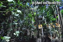 [P92] Padurea Inundata, muzeul Cosmocaixa » foto by Muffin2009*
 - 
<span class="allrVoted glyphicon glyphicon-heart hidden" id="av352029"></span>
<a class="m-l-10 hidden" id="sv352029" onclick="voting_Foto_DelVot(,352029,12198)" role="button">șterge vot <span class="glyphicon glyphicon-remove"></span></a>
<a id="v9352029" class=" c-red"  onclick="voting_Foto_SetVot(352029)" role="button"><span class="glyphicon glyphicon-heart-empty"></span> <b>LIKE</b> = Votează poza</a> <img class="hidden"  id="f352029W9" src="/imagini/loader.gif" border="0" /><span class="AjErrMes hidden" id="e352029ErM"></span>