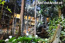[P94] Padurea Inundata, muzeul Cosmocaixa » foto by Muffin2009*
 - 
<span class="allrVoted glyphicon glyphicon-heart hidden" id="av352031"></span>
<a class="m-l-10 hidden" id="sv352031" onclick="voting_Foto_DelVot(,352031,12198)" role="button">șterge vot <span class="glyphicon glyphicon-remove"></span></a>
<a id="v9352031" class=" c-red"  onclick="voting_Foto_SetVot(352031)" role="button"><span class="glyphicon glyphicon-heart-empty"></span> <b>LIKE</b> = Votează poza</a> <img class="hidden"  id="f352031W9" src="/imagini/loader.gif" border="0" /><span class="AjErrMes hidden" id="e352031ErM"></span>