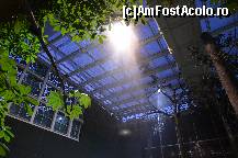 [P96] Ploaie artificiala in Padurea Inundata, muzeul Cosmocaixa » foto by Muffin2009*
 - 
<span class="allrVoted glyphicon glyphicon-heart hidden" id="av352033"></span>
<a class="m-l-10 hidden" id="sv352033" onclick="voting_Foto_DelVot(,352033,12198)" role="button">șterge vot <span class="glyphicon glyphicon-remove"></span></a>
<a id="v9352033" class=" c-red"  onclick="voting_Foto_SetVot(352033)" role="button"><span class="glyphicon glyphicon-heart-empty"></span> <b>LIKE</b> = Votează poza</a> <img class="hidden"  id="f352033W9" src="/imagini/loader.gif" border="0" /><span class="AjErrMes hidden" id="e352033ErM"></span>