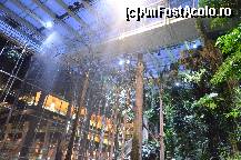 [P97] Ploaie artificiala in Padurea Inundata, muzeul Cosmocaixa » foto by Muffin2009*
 - 
<span class="allrVoted glyphicon glyphicon-heart hidden" id="av352034"></span>
<a class="m-l-10 hidden" id="sv352034" onclick="voting_Foto_DelVot(,352034,12198)" role="button">șterge vot <span class="glyphicon glyphicon-remove"></span></a>
<a id="v9352034" class=" c-red"  onclick="voting_Foto_SetVot(352034)" role="button"><span class="glyphicon glyphicon-heart-empty"></span> <b>LIKE</b> = Votează poza</a> <img class="hidden"  id="f352034W9" src="/imagini/loader.gif" border="0" /><span class="AjErrMes hidden" id="e352034ErM"></span>