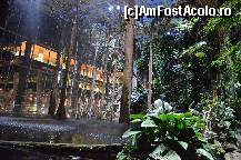 [P98] Ploaie artificiala in Padurea Inundata, muzeul Cosmocaixa » foto by Muffin2009*
 - 
<span class="allrVoted glyphicon glyphicon-heart hidden" id="av352035"></span>
<a class="m-l-10 hidden" id="sv352035" onclick="voting_Foto_DelVot(,352035,12198)" role="button">șterge vot <span class="glyphicon glyphicon-remove"></span></a>
<a id="v9352035" class=" c-red"  onclick="voting_Foto_SetVot(352035)" role="button"><span class="glyphicon glyphicon-heart-empty"></span> <b>LIKE</b> = Votează poza</a> <img class="hidden"  id="f352035W9" src="/imagini/loader.gif" border="0" /><span class="AjErrMes hidden" id="e352035ErM"></span>