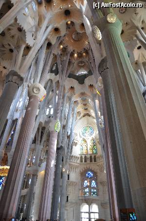 [P42] Sagrada Familia, Naosul » foto by Muffin2009*
 - 
<span class="allrVoted glyphicon glyphicon-heart hidden" id="av352218"></span>
<a class="m-l-10 hidden" id="sv352218" onclick="voting_Foto_DelVot(,352218,12198)" role="button">șterge vot <span class="glyphicon glyphicon-remove"></span></a>
<a id="v9352218" class=" c-red"  onclick="voting_Foto_SetVot(352218)" role="button"><span class="glyphicon glyphicon-heart-empty"></span> <b>LIKE</b> = Votează poza</a> <img class="hidden"  id="f352218W9" src="/imagini/loader.gif" border="0" /><span class="AjErrMes hidden" id="e352218ErM"></span>