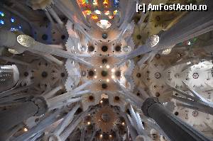 [P45] Sagrada Familia, coloanele inspirate dupa modelul arborilor Sequia » foto by Muffin2009*
 - 
<span class="allrVoted glyphicon glyphicon-heart hidden" id="av352223"></span>
<a class="m-l-10 hidden" id="sv352223" onclick="voting_Foto_DelVot(,352223,12198)" role="button">șterge vot <span class="glyphicon glyphicon-remove"></span></a>
<a id="v9352223" class=" c-red"  onclick="voting_Foto_SetVot(352223)" role="button"><span class="glyphicon glyphicon-heart-empty"></span> <b>LIKE</b> = Votează poza</a> <img class="hidden"  id="f352223W9" src="/imagini/loader.gif" border="0" /><span class="AjErrMes hidden" id="e352223ErM"></span>
