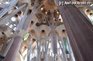 [P49] Sagrada Familia, coloanele inspirate dupa arborii Sequia » foto by Muffin2009*
 - 
<span class="allrVoted glyphicon glyphicon-heart hidden" id="av352231"></span>
<a class="m-l-10 hidden" id="sv352231" onclick="voting_Foto_DelVot(,352231,12198)" role="button">șterge vot <span class="glyphicon glyphicon-remove"></span></a>
<a id="v9352231" class=" c-red"  onclick="voting_Foto_SetVot(352231)" role="button"><span class="glyphicon glyphicon-heart-empty"></span> <b>LIKE</b> = Votează poza</a> <img class="hidden"  id="f352231W9" src="/imagini/loader.gif" border="0" /><span class="AjErrMes hidden" id="e352231ErM"></span>