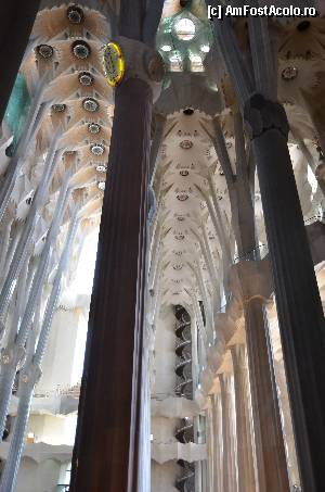 [P50] Sagrada Familia, coloanele inspirate dupa arborii Sequia » foto by Muffin2009*
 - 
<span class="allrVoted glyphicon glyphicon-heart hidden" id="av352233"></span>
<a class="m-l-10 hidden" id="sv352233" onclick="voting_Foto_DelVot(,352233,12198)" role="button">șterge vot <span class="glyphicon glyphicon-remove"></span></a>
<a id="v9352233" class=" c-red"  onclick="voting_Foto_SetVot(352233)" role="button"><span class="glyphicon glyphicon-heart-empty"></span> <b>LIKE</b> = Votează poza</a> <img class="hidden"  id="f352233W9" src="/imagini/loader.gif" border="0" /><span class="AjErrMes hidden" id="e352233ErM"></span>