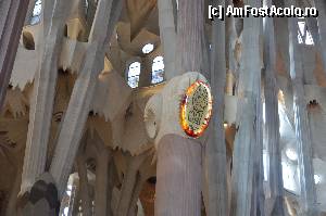 [P53] Sagrada Familia, coloanele inspirate dupa arborii Sequia » foto by Muffin2009*
 - 
<span class="allrVoted glyphicon glyphicon-heart hidden" id="av352237"></span>
<a class="m-l-10 hidden" id="sv352237" onclick="voting_Foto_DelVot(,352237,12198)" role="button">șterge vot <span class="glyphicon glyphicon-remove"></span></a>
<a id="v9352237" class=" c-red"  onclick="voting_Foto_SetVot(352237)" role="button"><span class="glyphicon glyphicon-heart-empty"></span> <b>LIKE</b> = Votează poza</a> <img class="hidden"  id="f352237W9" src="/imagini/loader.gif" border="0" /><span class="AjErrMes hidden" id="e352237ErM"></span>