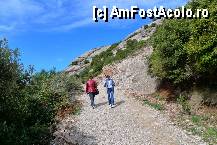 [P58] 58. Pe drumuri de muntel - Montserrat » foto by nickro
 - 
<span class="allrVoted glyphicon glyphicon-heart hidden" id="av339990"></span>
<a class="m-l-10 hidden" id="sv339990" onclick="voting_Foto_DelVot(,339990,12198)" role="button">șterge vot <span class="glyphicon glyphicon-remove"></span></a>
<a id="v9339990" class=" c-red"  onclick="voting_Foto_SetVot(339990)" role="button"><span class="glyphicon glyphicon-heart-empty"></span> <b>LIKE</b> = Votează poza</a> <img class="hidden"  id="f339990W9" src="/imagini/loader.gif" border="0" /><span class="AjErrMes hidden" id="e339990ErM"></span>