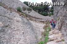 [P79] 79. Pe drumuri de munte - Montserrat » foto by nickro
 - 
<span class="allrVoted glyphicon glyphicon-heart hidden" id="av340011"></span>
<a class="m-l-10 hidden" id="sv340011" onclick="voting_Foto_DelVot(,340011,12198)" role="button">șterge vot <span class="glyphicon glyphicon-remove"></span></a>
<a id="v9340011" class=" c-red"  onclick="voting_Foto_SetVot(340011)" role="button"><span class="glyphicon glyphicon-heart-empty"></span> <b>LIKE</b> = Votează poza</a> <img class="hidden"  id="f340011W9" src="/imagini/loader.gif" border="0" /><span class="AjErrMes hidden" id="e340011ErM"></span>