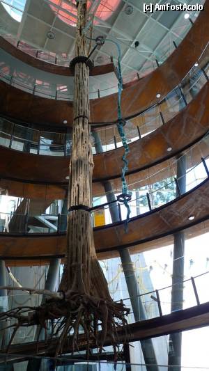 [P28] 28. CosmoCaixa - scara elicoidală de la intrare cu copacul uriaş » foto by nickro
 - 
<span class="allrVoted glyphicon glyphicon-heart hidden" id="av347446"></span>
<a class="m-l-10 hidden" id="sv347446" onclick="voting_Foto_DelVot(,347446,12198)" role="button">șterge vot <span class="glyphicon glyphicon-remove"></span></a>
<a id="v9347446" class=" c-red"  onclick="voting_Foto_SetVot(347446)" role="button"><span class="glyphicon glyphicon-heart-empty"></span> <b>LIKE</b> = Votează poza</a> <img class="hidden"  id="f347446W9" src="/imagini/loader.gif" border="0" /><span class="AjErrMes hidden" id="e347446ErM"></span>