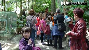 [P45] 46. CosmoCaixa - bosc inudat- pădurea ecuatorială » foto by nickro
 - 
<span class="allrVoted glyphicon glyphicon-heart hidden" id="av347463"></span>
<a class="m-l-10 hidden" id="sv347463" onclick="voting_Foto_DelVot(,347463,12198)" role="button">șterge vot <span class="glyphicon glyphicon-remove"></span></a>
<a id="v9347463" class=" c-red"  onclick="voting_Foto_SetVot(347463)" role="button"><span class="glyphicon glyphicon-heart-empty"></span> <b>LIKE</b> = Votează poza</a> <img class="hidden"  id="f347463W9" src="/imagini/loader.gif" border="0" /><span class="AjErrMes hidden" id="e347463ErM"></span>