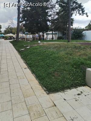 [P37] Tot in gradina » foto by Teodor17
 - 
<span class="allrVoted glyphicon glyphicon-heart hidden" id="av1498613"></span>
<a class="m-l-10 hidden" id="sv1498613" onclick="voting_Foto_DelVot(,1498613,12264)" role="button">șterge vot <span class="glyphicon glyphicon-remove"></span></a>
<a id="v91498613" class=" c-red"  onclick="voting_Foto_SetVot(1498613)" role="button"><span class="glyphicon glyphicon-heart-empty"></span> <b>LIKE</b> = Votează poza</a> <img class="hidden"  id="f1498613W9" src="/imagini/loader.gif" border="0" /><span class="AjErrMes hidden" id="e1498613ErM"></span>