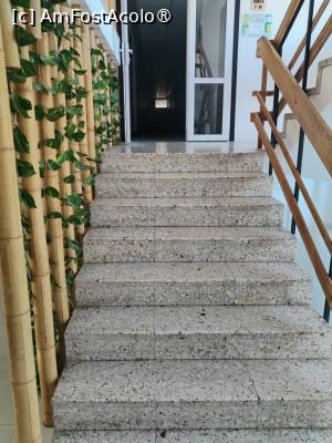 [P44] Pe scari catre camere » foto by Teodor17
 - 
<span class="allrVoted glyphicon glyphicon-heart hidden" id="av1498620"></span>
<a class="m-l-10 hidden" id="sv1498620" onclick="voting_Foto_DelVot(,1498620,12264)" role="button">șterge vot <span class="glyphicon glyphicon-remove"></span></a>
<a id="v91498620" class=" c-red"  onclick="voting_Foto_SetVot(1498620)" role="button"><span class="glyphicon glyphicon-heart-empty"></span> <b>LIKE</b> = Votează poza</a> <img class="hidden"  id="f1498620W9" src="/imagini/loader.gif" border="0" /><span class="AjErrMes hidden" id="e1498620ErM"></span>