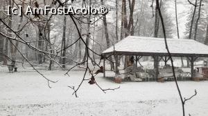 [P19] Surpriza albă! » foto by k-lator
 - 
<span class="allrVoted glyphicon glyphicon-heart hidden" id="av1498530"></span>
<a class="m-l-10 hidden" id="sv1498530" onclick="voting_Foto_DelVot(,1498530,12305)" role="button">șterge vot <span class="glyphicon glyphicon-remove"></span></a>
<a id="v91498530" class=" c-red"  onclick="voting_Foto_SetVot(1498530)" role="button"><span class="glyphicon glyphicon-heart-empty"></span> <b>LIKE</b> = Votează poza</a> <img class="hidden"  id="f1498530W9" src="/imagini/loader.gif" border="0" /><span class="AjErrMes hidden" id="e1498530ErM"></span>