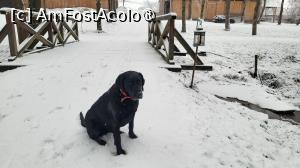 [P21] Domeniul Zabola Estate » foto by k-lator
 - 
<span class="allrVoted glyphicon glyphicon-heart hidden" id="av1498532"></span>
<a class="m-l-10 hidden" id="sv1498532" onclick="voting_Foto_DelVot(,1498532,12305)" role="button">șterge vot <span class="glyphicon glyphicon-remove"></span></a>
<a id="v91498532" class=" c-red"  onclick="voting_Foto_SetVot(1498532)" role="button"><span class="glyphicon glyphicon-heart-empty"></span> <b>LIKE</b> = Votează poza</a> <img class="hidden"  id="f1498532W9" src="/imagini/loader.gif" border="0" /><span class="AjErrMes hidden" id="e1498532ErM"></span>