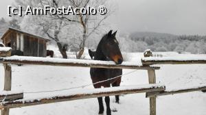 [P22] Domeniul Zabola Estate » foto by k-lator
 - 
<span class="allrVoted glyphicon glyphicon-heart hidden" id="av1498535"></span>
<a class="m-l-10 hidden" id="sv1498535" onclick="voting_Foto_DelVot(,1498535,12305)" role="button">șterge vot <span class="glyphicon glyphicon-remove"></span></a>
<a id="v91498535" class=" c-red"  onclick="voting_Foto_SetVot(1498535)" role="button"><span class="glyphicon glyphicon-heart-empty"></span> <b>LIKE</b> = Votează poza</a> <img class="hidden"  id="f1498535W9" src="/imagini/loader.gif" border="0" /><span class="AjErrMes hidden" id="e1498535ErM"></span>