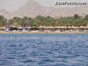 [P19]  -- <small>// FĂRĂ DESCRIERE</small> » foto by skumppika
 - 
<span class="allrVoted glyphicon glyphicon-heart hidden" id="av352876"></span>
<a class="m-l-10 hidden" id="sv352876" onclick="voting_Foto_DelVot(,352876,12386)" role="button">șterge vot <span class="glyphicon glyphicon-remove"></span></a>
<a id="v9352876" class=" c-red"  onclick="voting_Foto_SetVot(352876)" role="button"><span class="glyphicon glyphicon-heart-empty"></span> <b>LIKE</b> = Votează poza</a> <img class="hidden"  id="f352876W9" src="/imagini/loader.gif" border="0" /><span class="AjErrMes hidden" id="e352876ErM"></span>