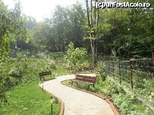 [P13] Loc de odihna in gradina pensiunii.  » foto by Floria
 - 
<span class="allrVoted glyphicon glyphicon-heart hidden" id="av365966"></span>
<a class="m-l-10 hidden" id="sv365966" onclick="voting_Foto_DelVot(,365966,12412)" role="button">șterge vot <span class="glyphicon glyphicon-remove"></span></a>
<a id="v9365966" class=" c-red"  onclick="voting_Foto_SetVot(365966)" role="button"><span class="glyphicon glyphicon-heart-empty"></span> <b>LIKE</b> = Votează poza</a> <img class="hidden"  id="f365966W9" src="/imagini/loader.gif" border="0" /><span class="AjErrMes hidden" id="e365966ErM"></span>