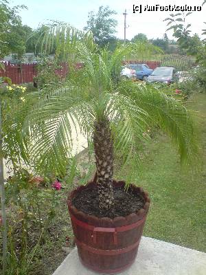 [P07] Verdeata ce-mi place mie;))  » foto by renataozana
 - 
<span class="allrVoted glyphicon glyphicon-heart hidden" id="av353775"></span>
<a class="m-l-10 hidden" id="sv353775" onclick="voting_Foto_DelVot(,353775,12423)" role="button">șterge vot <span class="glyphicon glyphicon-remove"></span></a>
<a id="v9353775" class=" c-red"  onclick="voting_Foto_SetVot(353775)" role="button"><span class="glyphicon glyphicon-heart-empty"></span> <b>LIKE</b> = Votează poza</a> <img class="hidden"  id="f353775W9" src="/imagini/loader.gif" border="0" /><span class="AjErrMes hidden" id="e353775ErM"></span>