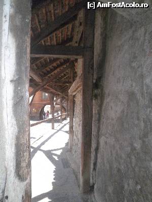 [P52] drumul spre sala de tortura a prizonierilor » foto by grecudoina
 - 
<span class="allrVoted glyphicon glyphicon-heart hidden" id="av355373"></span>
<a class="m-l-10 hidden" id="sv355373" onclick="voting_Foto_DelVot(,355373,12464)" role="button">șterge vot <span class="glyphicon glyphicon-remove"></span></a>
<a id="v9355373" class=" c-red"  onclick="voting_Foto_SetVot(355373)" role="button"><span class="glyphicon glyphicon-heart-empty"></span> <b>LIKE</b> = Votează poza</a> <img class="hidden"  id="f355373W9" src="/imagini/loader.gif" border="0" /><span class="AjErrMes hidden" id="e355373ErM"></span>