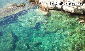 [P14] verde smarald de Thassos!  » foto by dyali*
 - 
<span class="allrVoted glyphicon glyphicon-heart hidden" id="av355445"></span>
<a class="m-l-10 hidden" id="sv355445" onclick="voting_Foto_DelVot(,355445,12469)" role="button">șterge vot <span class="glyphicon glyphicon-remove"></span></a>
<a id="v9355445" class=" c-red"  onclick="voting_Foto_SetVot(355445)" role="button"><span class="glyphicon glyphicon-heart-empty"></span> <b>LIKE</b> = Votează poza</a> <img class="hidden"  id="f355445W9" src="/imagini/loader.gif" border="0" /><span class="AjErrMes hidden" id="e355445ErM"></span>