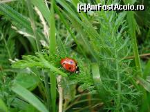 [P06]  -- <small>// FĂRĂ DESCRIERE</small> » foto by Rusalka
 - 
<span class="allrVoted glyphicon glyphicon-heart hidden" id="av109811"></span>
<a class="m-l-10 hidden" id="sv109811" onclick="voting_Foto_DelVot(,109811,12551)" role="button">șterge vot <span class="glyphicon glyphicon-remove"></span></a>
<a id="v9109811" class=" c-red"  onclick="voting_Foto_SetVot(109811)" role="button"><span class="glyphicon glyphicon-heart-empty"></span> <b>LIKE</b> = Votează poza</a> <img class="hidden"  id="f109811W9" src="/imagini/loader.gif" border="0" /><span class="AjErrMes hidden" id="e109811ErM"></span>