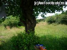 [P07]  -- <small>// FĂRĂ DESCRIERE</small> » foto by Rusalka
 - 
<span class="allrVoted glyphicon glyphicon-heart hidden" id="av109812"></span>
<a class="m-l-10 hidden" id="sv109812" onclick="voting_Foto_DelVot(,109812,12551)" role="button">șterge vot <span class="glyphicon glyphicon-remove"></span></a>
<a id="v9109812" class=" c-red"  onclick="voting_Foto_SetVot(109812)" role="button"><span class="glyphicon glyphicon-heart-empty"></span> <b>LIKE</b> = Votează poza</a> <img class="hidden"  id="f109812W9" src="/imagini/loader.gif" border="0" /><span class="AjErrMes hidden" id="e109812ErM"></span>