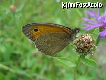 [P01]  -- <small>// FĂRĂ DESCRIERE</small> » foto by libertango
 - 
<span class="allrVoted glyphicon glyphicon-heart hidden" id="av228300"></span>
<a class="m-l-10 hidden" id="sv228300" onclick="voting_Foto_DelVot(,228300,12551)" role="button">șterge vot <span class="glyphicon glyphicon-remove"></span></a>
<a id="v9228300" class=" c-red"  onclick="voting_Foto_SetVot(228300)" role="button"><span class="glyphicon glyphicon-heart-empty"></span> <b>LIKE</b> = Votează poza</a> <img class="hidden"  id="f228300W9" src="/imagini/loader.gif" border="0" /><span class="AjErrMes hidden" id="e228300ErM"></span>