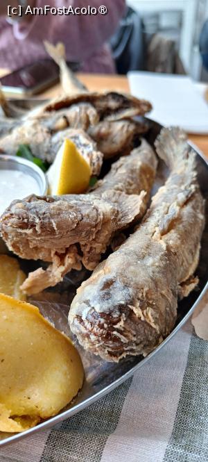 [P12] Un guvid rânjit. » foto by tata123 🔱
 - 
<span class="allrVoted glyphicon glyphicon-heart hidden" id="av1522297"></span>
<a class="m-l-10 hidden" id="sv1522297" onclick="voting_Foto_DelVot(,1522297,12565)" role="button">șterge vot <span class="glyphicon glyphicon-remove"></span></a>
<a id="v91522297" class=" c-red"  onclick="voting_Foto_SetVot(1522297)" role="button"><span class="glyphicon glyphicon-heart-empty"></span> <b>LIKE</b> = Votează poza</a> <img class="hidden"  id="f1522297W9" src="/imagini/loader.gif" border="0" /><span class="AjErrMes hidden" id="e1522297ErM"></span>