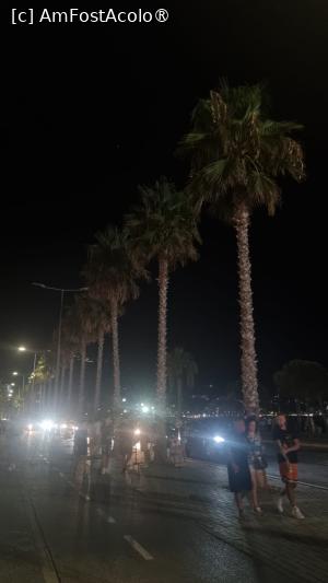 [P13] Palmieri (Vlora) » foto by Sclemby
 - 
<span class="allrVoted glyphicon glyphicon-heart hidden" id="av1498440"></span>
<a class="m-l-10 hidden" id="sv1498440" onclick="voting_Foto_DelVot(,1498440,12619)" role="button">șterge vot <span class="glyphicon glyphicon-remove"></span></a>
<a id="v91498440" class=" c-red"  onclick="voting_Foto_SetVot(1498440)" role="button"><span class="glyphicon glyphicon-heart-empty"></span> <b>LIKE</b> = Votează poza</a> <img class="hidden"  id="f1498440W9" src="/imagini/loader.gif" border="0" /><span class="AjErrMes hidden" id="e1498440ErM"></span>