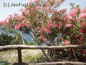 [P42] O privire de după leandrii.  » foto by maryka
 - 
<span class="allrVoted glyphicon glyphicon-heart hidden" id="av1085436"></span>
<a class="m-l-10 hidden" id="sv1085436" onclick="voting_Foto_DelVot(,1085436,12624)" role="button">șterge vot <span class="glyphicon glyphicon-remove"></span></a>
<a id="v91085436" class=" c-red"  onclick="voting_Foto_SetVot(1085436)" role="button"><span class="glyphicon glyphicon-heart-empty"></span> <b>LIKE</b> = Votează poza</a> <img class="hidden"  id="f1085436W9" src="/imagini/loader.gif" border="0" /><span class="AjErrMes hidden" id="e1085436ErM"></span>