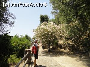 [P45] Admirând...  » foto by maryka
 - 
<span class="allrVoted glyphicon glyphicon-heart hidden" id="av1085439"></span>
<a class="m-l-10 hidden" id="sv1085439" onclick="voting_Foto_DelVot(,1085439,12624)" role="button">șterge vot <span class="glyphicon glyphicon-remove"></span></a>
<a id="v91085439" class=" c-red"  onclick="voting_Foto_SetVot(1085439)" role="button"><span class="glyphicon glyphicon-heart-empty"></span> <b>LIKE</b> = Votează poza</a> <img class="hidden"  id="f1085439W9" src="/imagini/loader.gif" border="0" /><span class="AjErrMes hidden" id="e1085439ErM"></span>