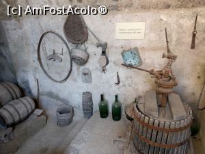 [P50] Ustensile pentru fabricarea vinului.  » foto by maryka
 - 
<span class="allrVoted glyphicon glyphicon-heart hidden" id="av1085444"></span>
<a class="m-l-10 hidden" id="sv1085444" onclick="voting_Foto_DelVot(,1085444,12624)" role="button">șterge vot <span class="glyphicon glyphicon-remove"></span></a>
<a id="v91085444" class=" c-red"  onclick="voting_Foto_SetVot(1085444)" role="button"><span class="glyphicon glyphicon-heart-empty"></span> <b>LIKE</b> = Votează poza</a> <img class="hidden"  id="f1085444W9" src="/imagini/loader.gif" border="0" /><span class="AjErrMes hidden" id="e1085444ErM"></span>