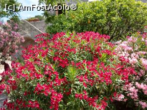 [P56] Splendoare la castel.  » foto by maryka
 - 
<span class="allrVoted glyphicon glyphicon-heart hidden" id="av1085450"></span>
<a class="m-l-10 hidden" id="sv1085450" onclick="voting_Foto_DelVot(,1085450,12624)" role="button">șterge vot <span class="glyphicon glyphicon-remove"></span></a>
<a id="v91085450" class=" c-red"  onclick="voting_Foto_SetVot(1085450)" role="button"><span class="glyphicon glyphicon-heart-empty"></span> <b>LIKE</b> = Votează poza</a> <img class="hidden"  id="f1085450W9" src="/imagini/loader.gif" border="0" /><span class="AjErrMes hidden" id="e1085450ErM"></span>