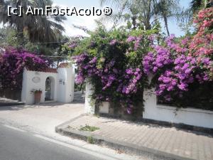 [P10] Cam așa arată străzile din Ischia, aici Via Roma.  » foto by maryka
 - 
<span class="allrVoted glyphicon glyphicon-heart hidden" id="av1090282"></span>
<a class="m-l-10 hidden" id="sv1090282" onclick="voting_Foto_DelVot(,1090282,12624)" role="button">șterge vot <span class="glyphicon glyphicon-remove"></span></a>
<a id="v91090282" class=" c-red"  onclick="voting_Foto_SetVot(1090282)" role="button"><span class="glyphicon glyphicon-heart-empty"></span> <b>LIKE</b> = Votează poza</a> <img class="hidden"  id="f1090282W9" src="/imagini/loader.gif" border="0" /><span class="AjErrMes hidden" id="e1090282ErM"></span>