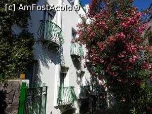 [P15] Balconașe drăguțe, „asezonate” cu flori.  » foto by maryka
 - 
<span class="allrVoted glyphicon glyphicon-heart hidden" id="av1090287"></span>
<a class="m-l-10 hidden" id="sv1090287" onclick="voting_Foto_DelVot(,1090287,12624)" role="button">șterge vot <span class="glyphicon glyphicon-remove"></span></a>
<a id="v91090287" class=" c-red"  onclick="voting_Foto_SetVot(1090287)" role="button"><span class="glyphicon glyphicon-heart-empty"></span> <b>LIKE</b> = Votează poza</a> <img class="hidden"  id="f1090287W9" src="/imagini/loader.gif" border="0" /><span class="AjErrMes hidden" id="e1090287ErM"></span>